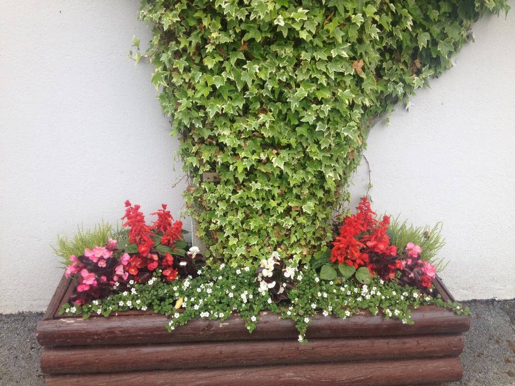 Carragh House Bed and Breakfast Castlebar Εξωτερικό φωτογραφία